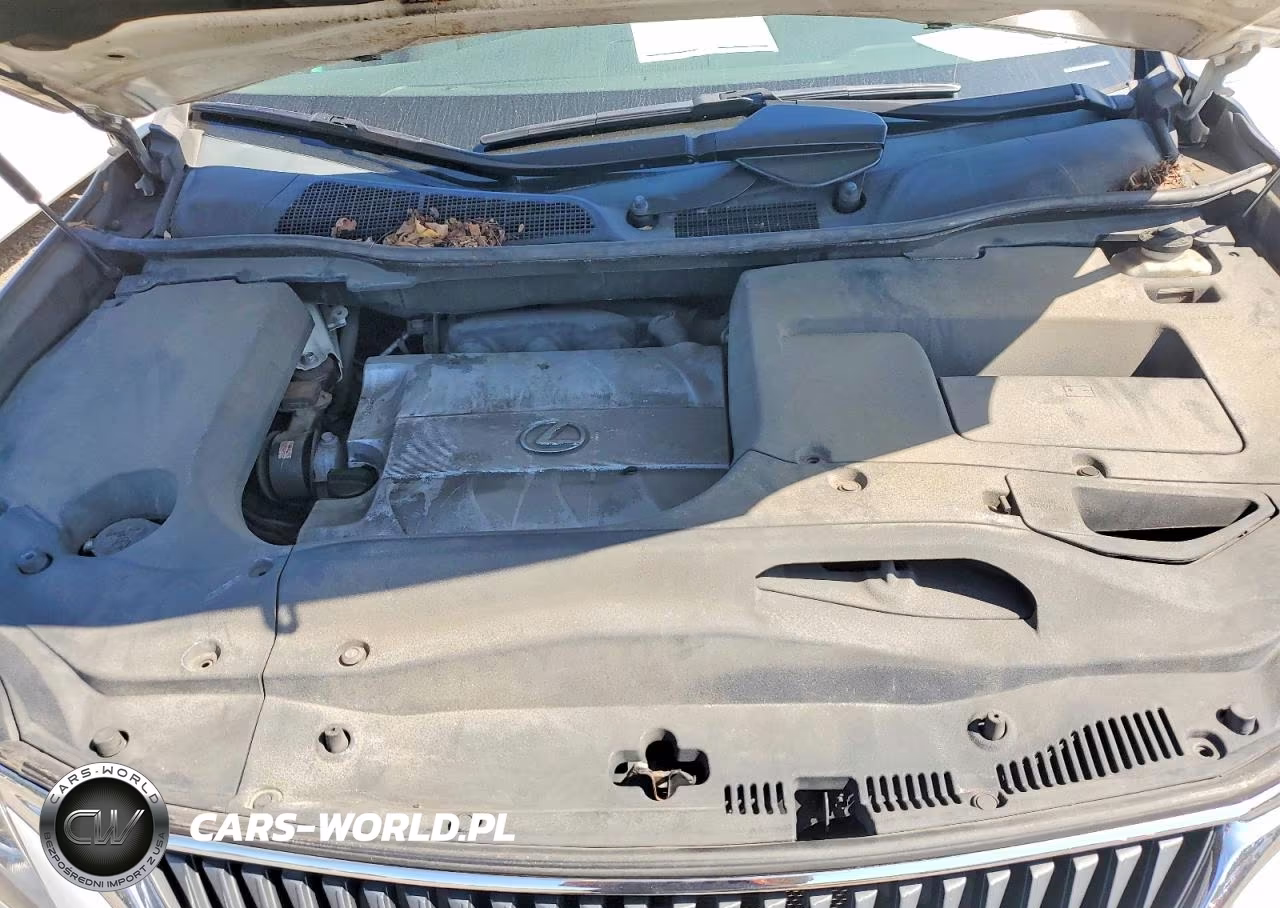 2010 Lexus Rx 350 VIN:2T2BK1BA4AC069940 - 12