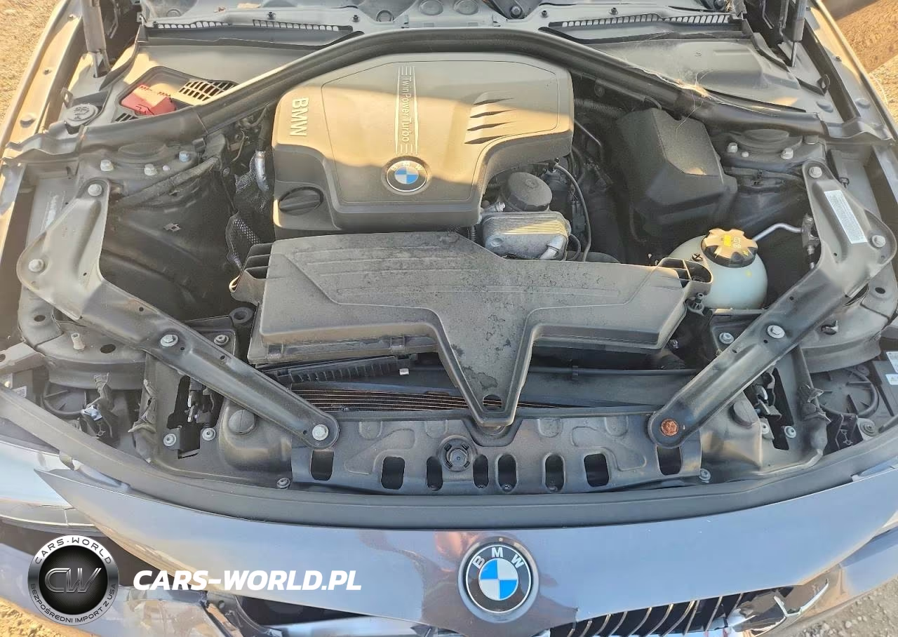2016 BMW 428 Xi Sulev VIN:WBA3T1C52GP821536 - 11