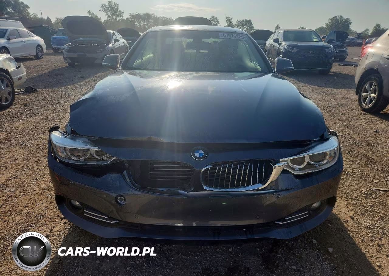 2016 BMW 428 Xi Sulev VIN:WBA3T1C52GP821536 - 5