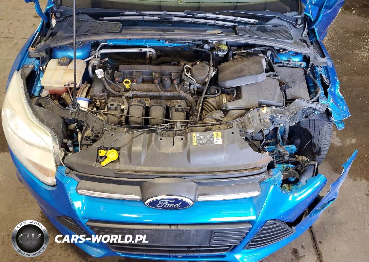 2014 Ford Focus Se VIN:1FADP3K21EL407219 - 11