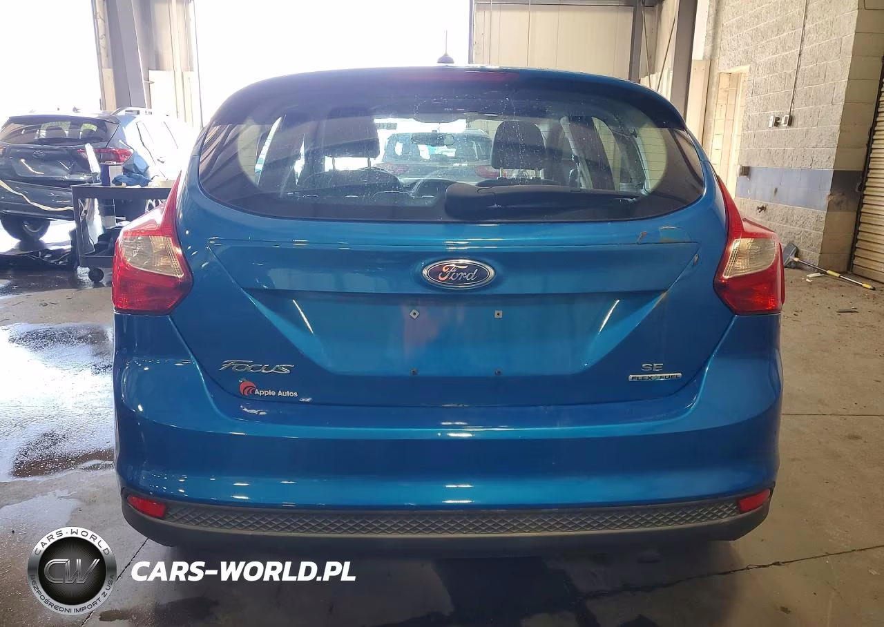 2014 Ford Focus Se VIN:1FADP3K21EL407219 - 6