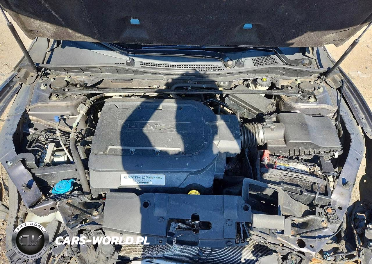 2014 Honda Accord Exl VIN:1HGCR3F85EA031300 - 11