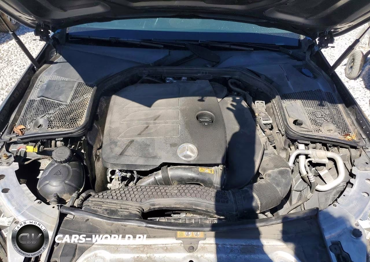 2019 Mercedes-Benz C 300 VIN:WDDWF8DB4KR460740 - 11