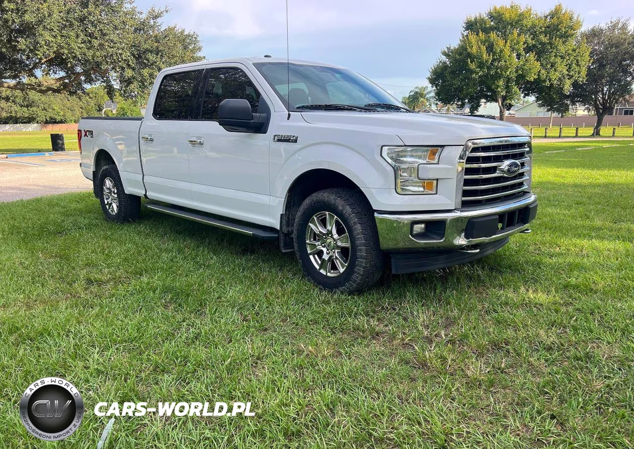 FORD F-150 – zdjęcie 1 z 11
