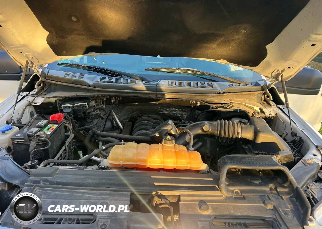 FORD F-150 VIN:1FTFW1EFXHFA14234 - 7