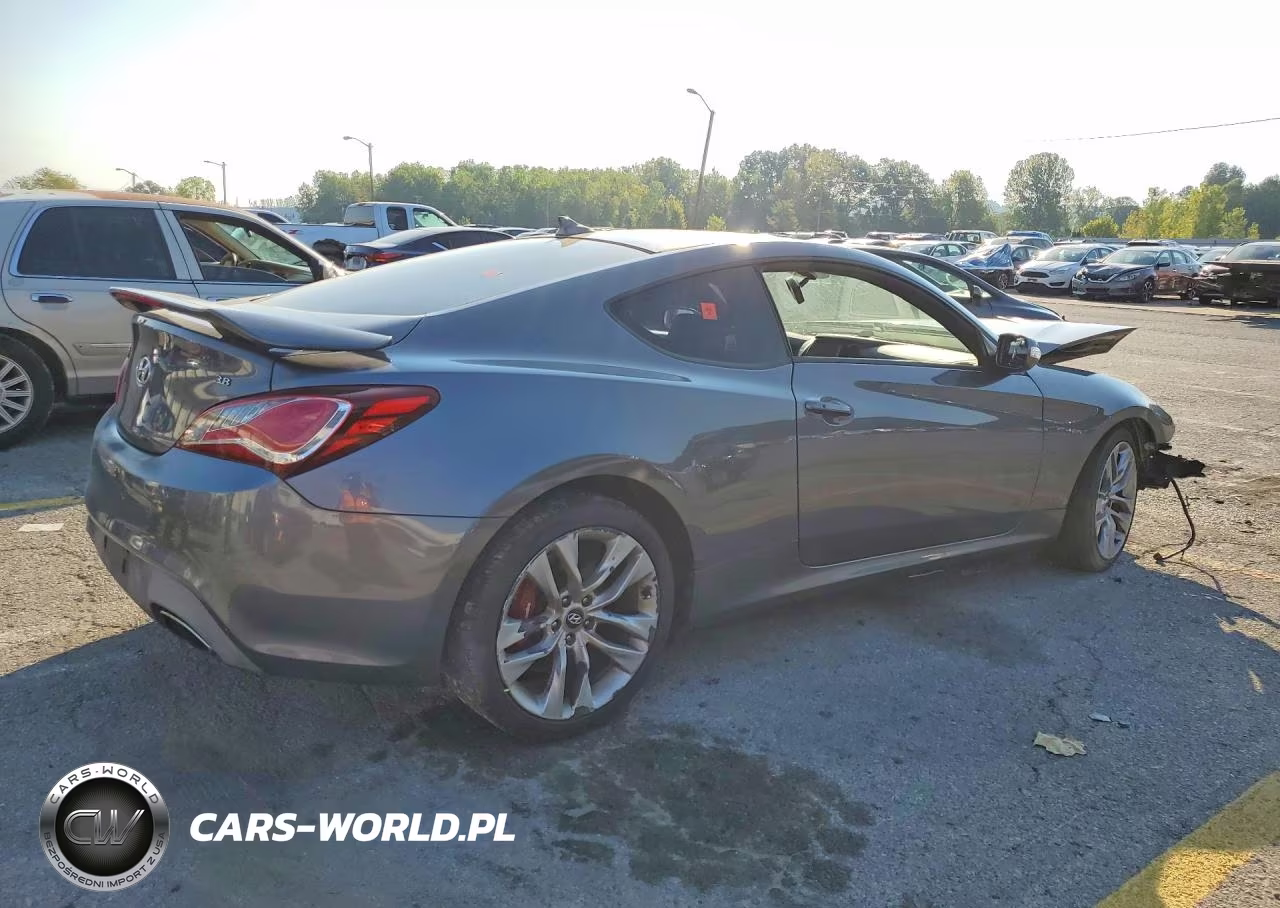 2016 Hyundai Gens 2D 3.8 B VIN:KMHHU6KJ1GU132649 - 3