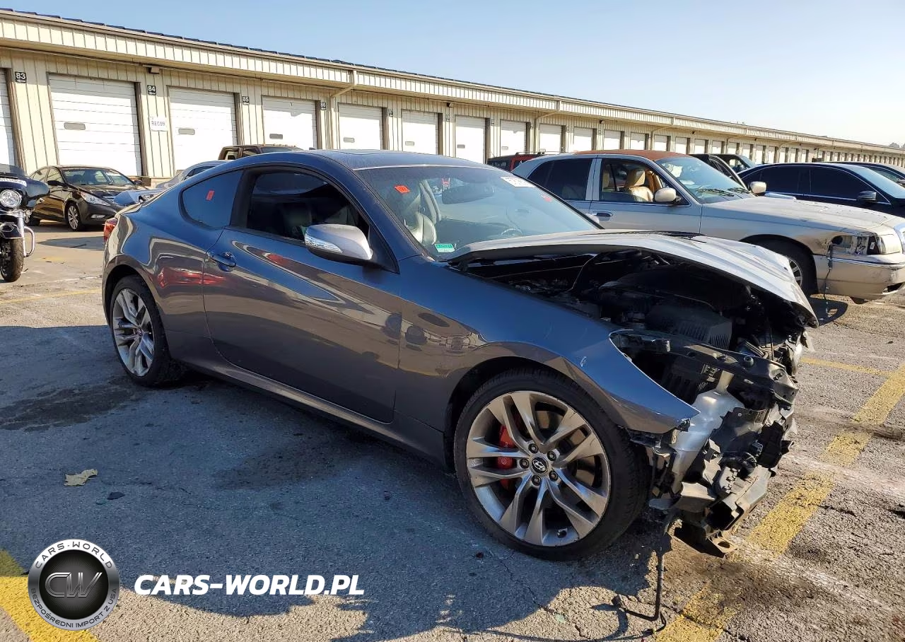 2016 Hyundai Gens 2D 3.8 B VIN:KMHHU6KJ1GU132649 - 4