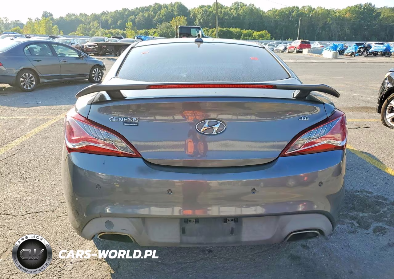 2016 Hyundai Gens 2D 3.8 B VIN:KMHHU6KJ1GU132649 - 6