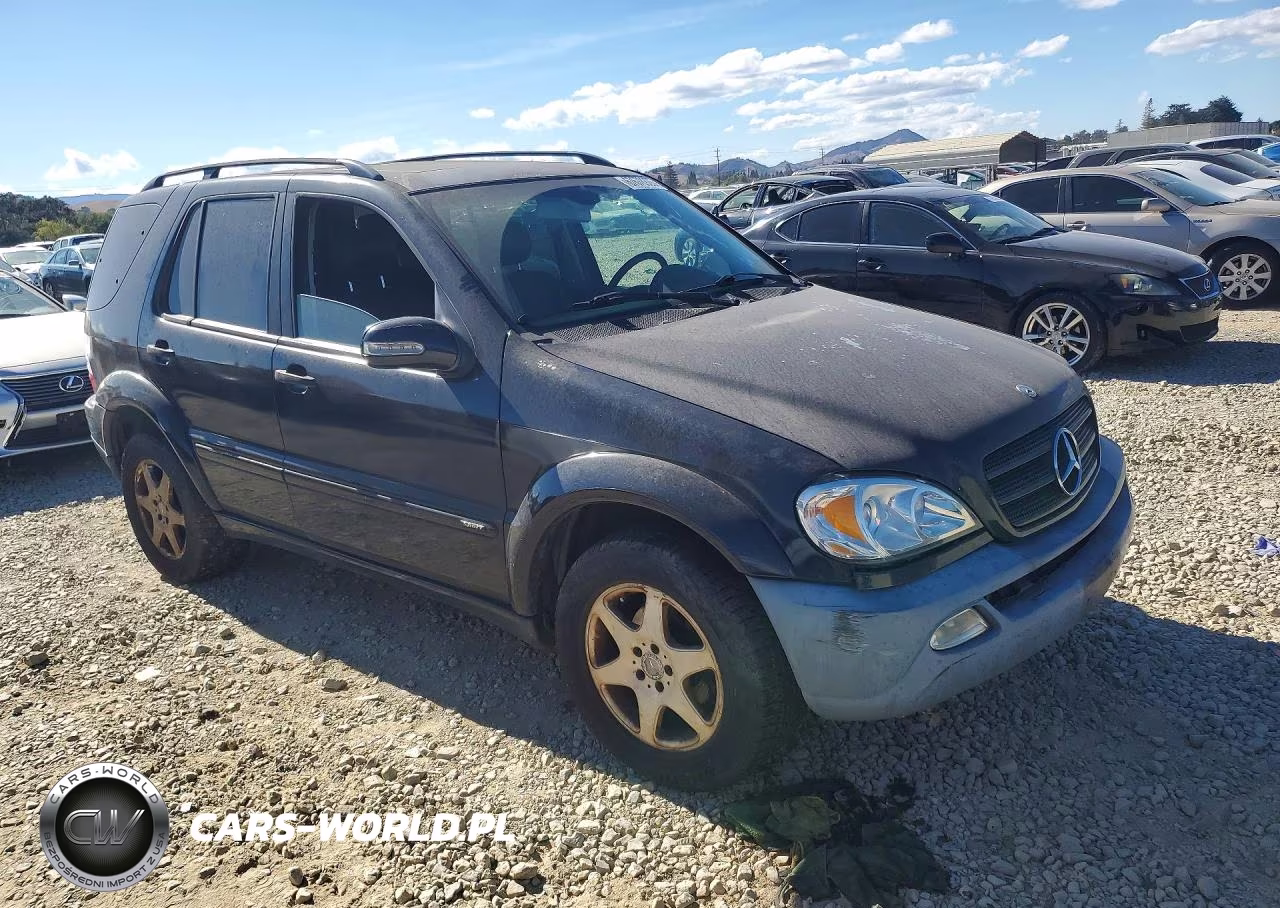 2002 Mercedes-Benz Ml 320 VIN:4JGAB54E82A307930 - 4