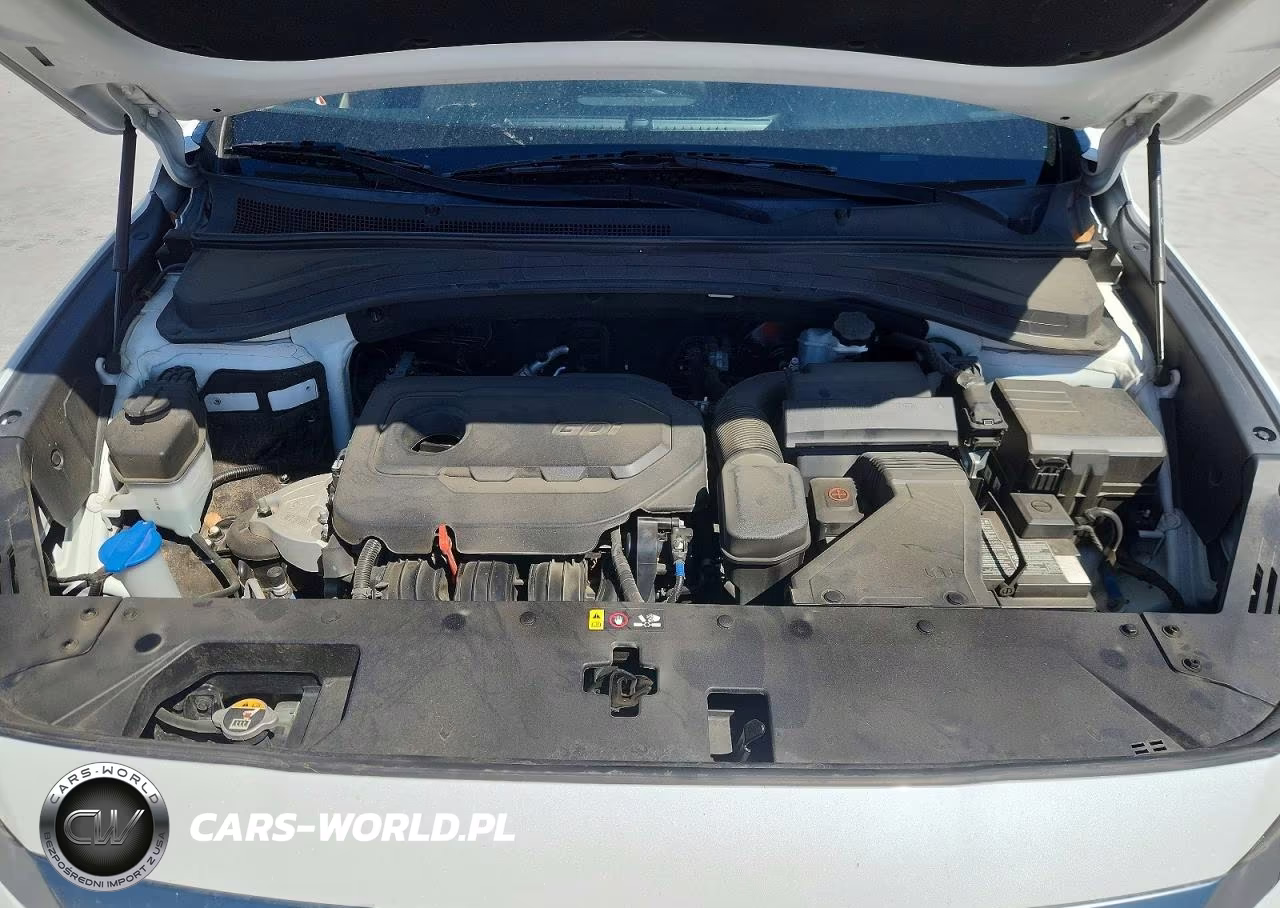 2020 Hyundai Santa Fe Sel VIN:5NMS33AD8LH145665 - 12