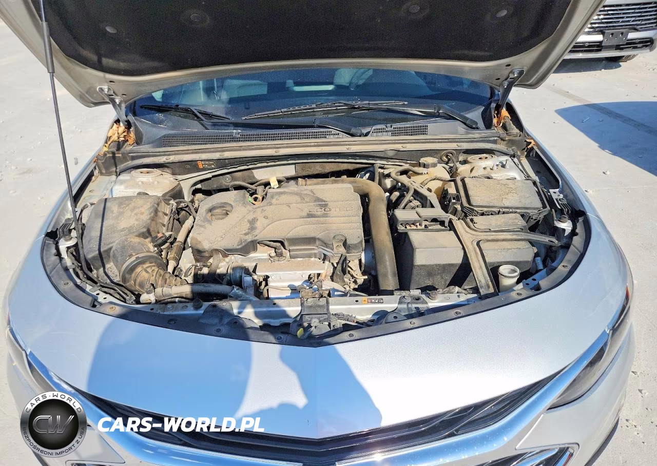 2019 Chevrolet Malibu Ls VIN:1G1ZB5ST6KF196699 - 11