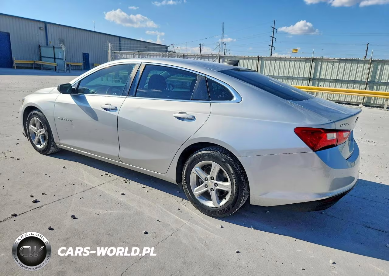 2019 Chevrolet Malibu Ls VIN:1G1ZB5ST6KF196699 - 2