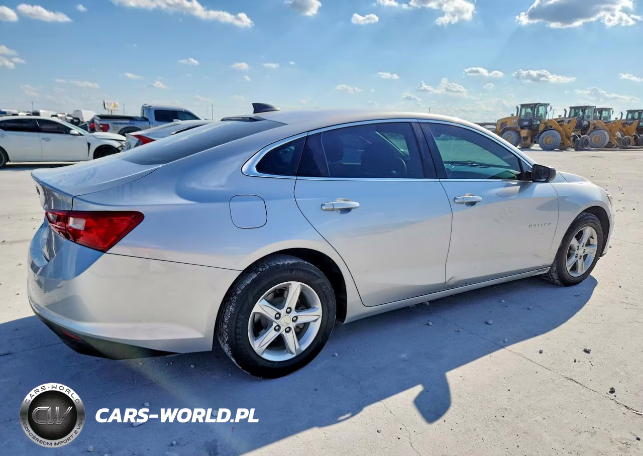 2019 Chevrolet Malibu Ls VIN:1G1ZB5ST6KF196699 - 3
