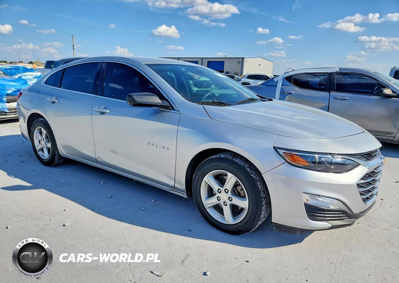 2019 Chevrolet Malibu Ls VIN:1G1ZB5ST6KF196699 - 4