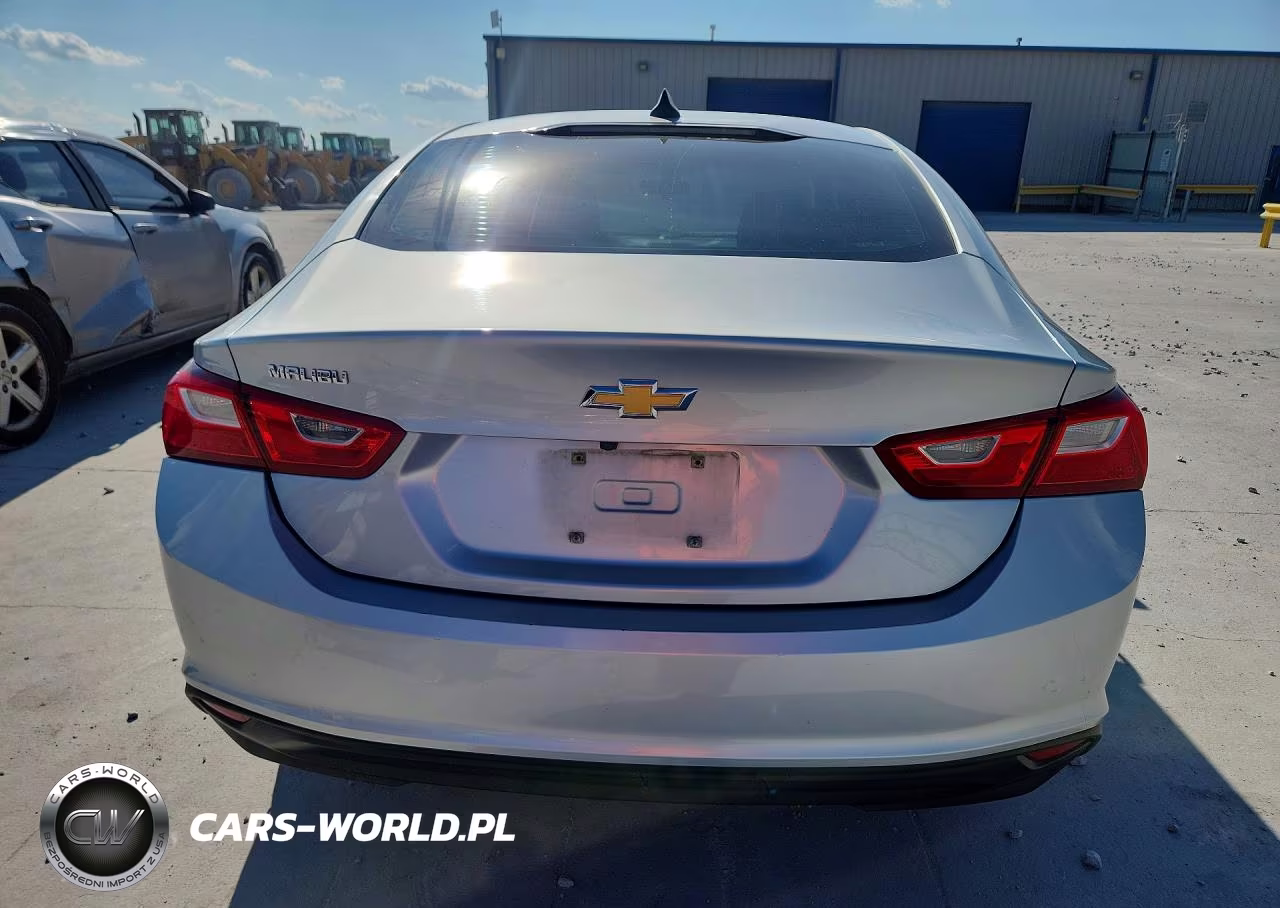 2019 Chevrolet Malibu Ls VIN:1G1ZB5ST6KF196699 - 6