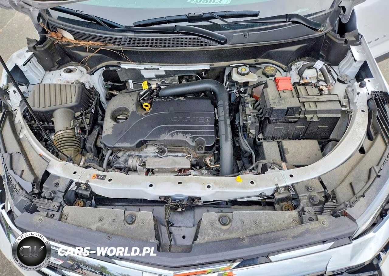 2025 Chevrolet Equinox Lt VIN:3GNAXHEG6SL307853 - 12