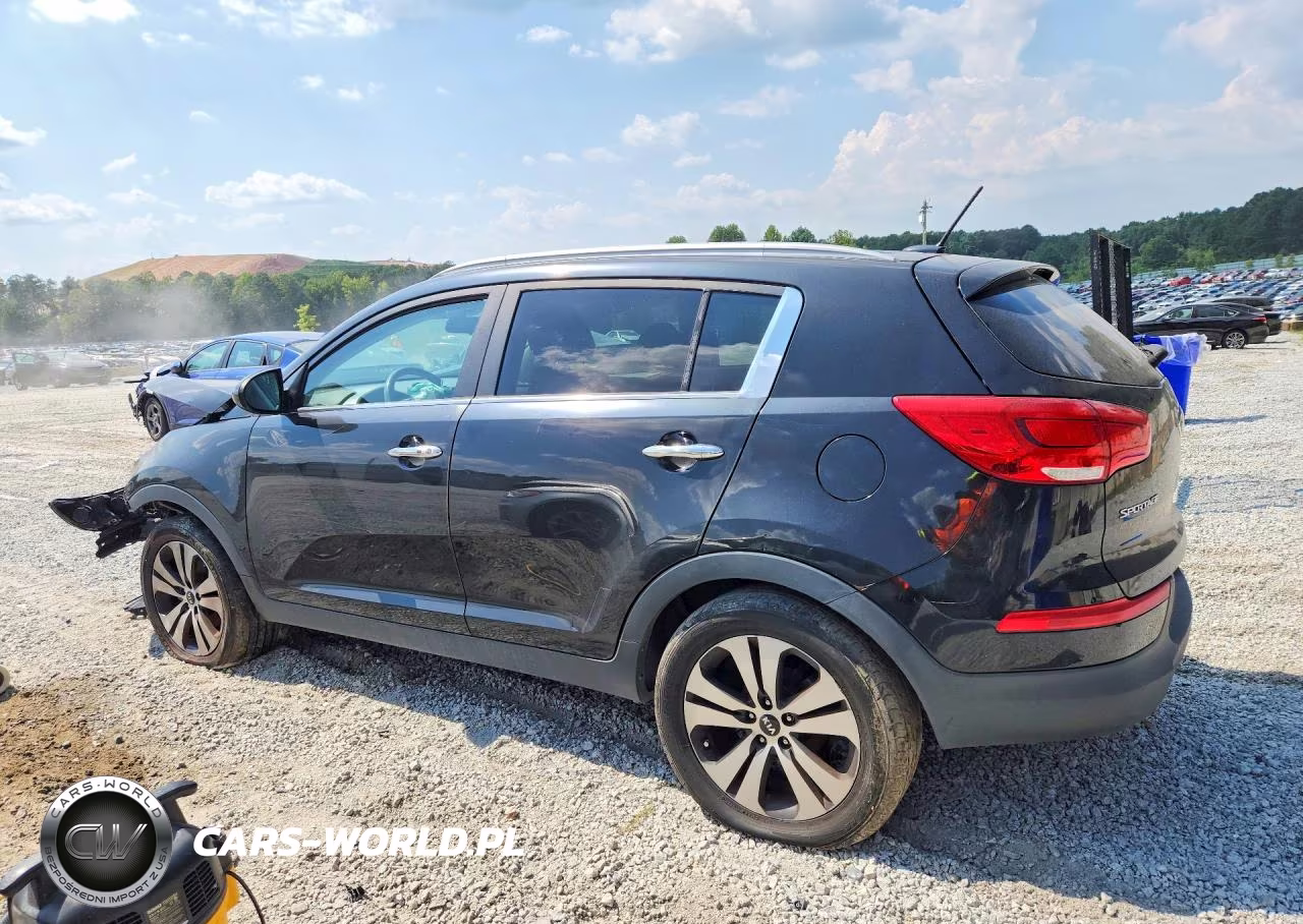 2016 Kia Sportage Ex VIN:KNDPC3AC7G7876209 - 2