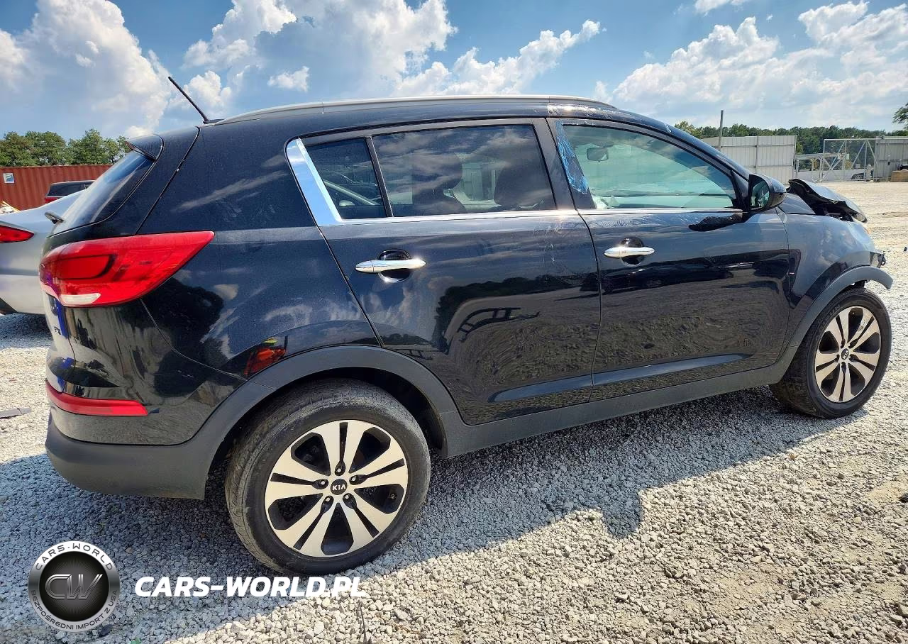 2016 Kia Sportage Ex VIN:KNDPC3AC7G7876209 - 3