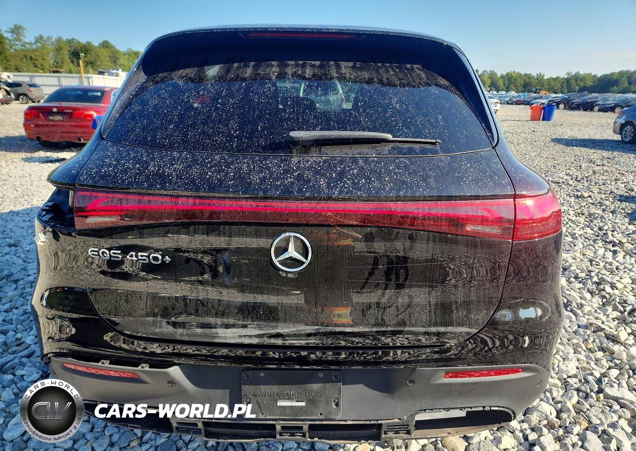 2023 Mercedes-Benz Eqs Suv 450+ VIN:4JGDM2DB5PA014344 - 6