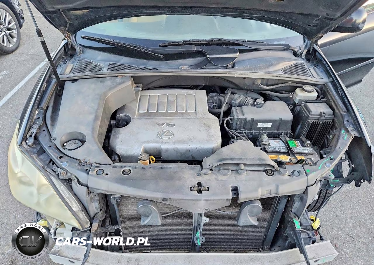 2007 Lexus Rx 350 VIN:JTJGK31U270009902 - 12