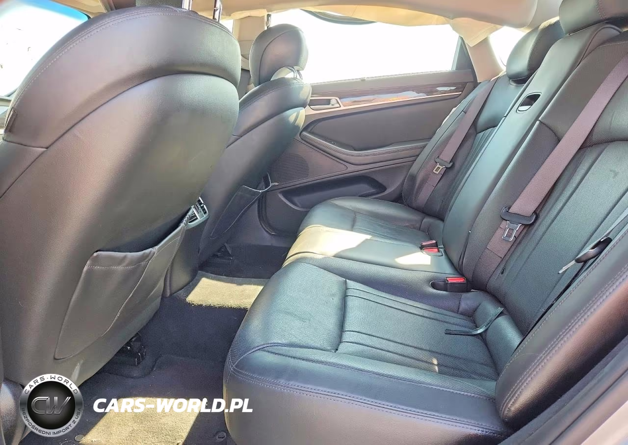 2015 Hyundai Genesis 3.8L VIN:KMHGN4JE5FU036586 - 10