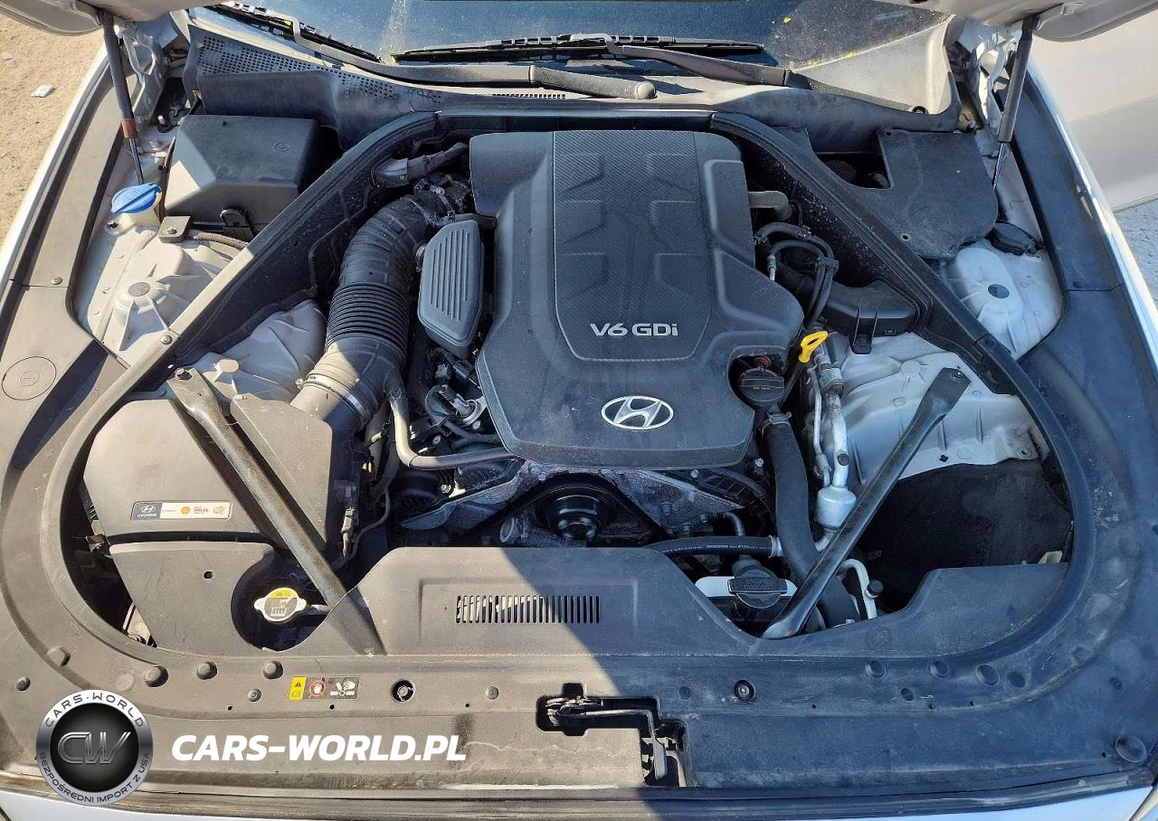 2015 Hyundai Genesis 3.8L VIN:KMHGN4JE5FU036586 - 11