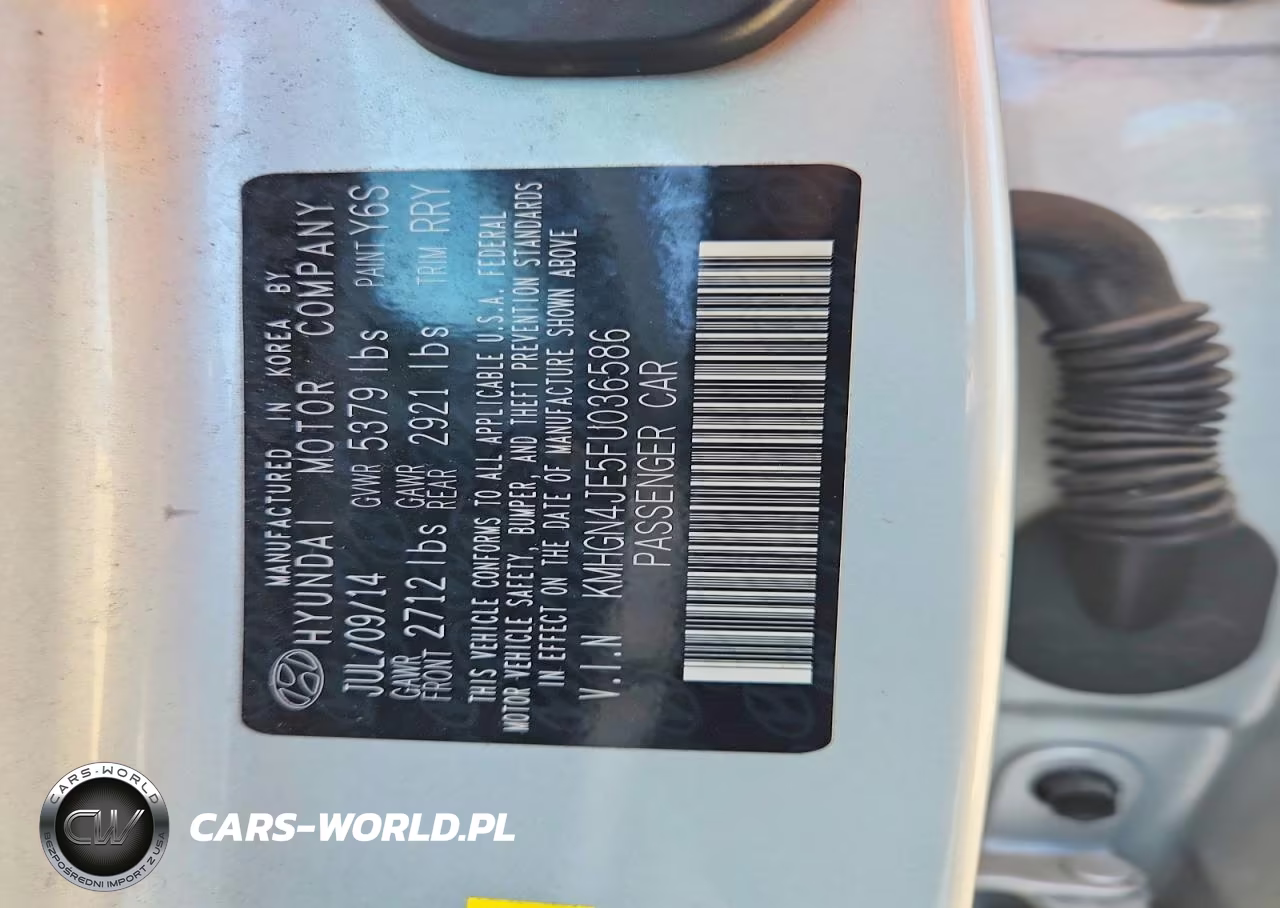 2015 Hyundai Genesis 3.8L VIN:KMHGN4JE5FU036586 - 12
