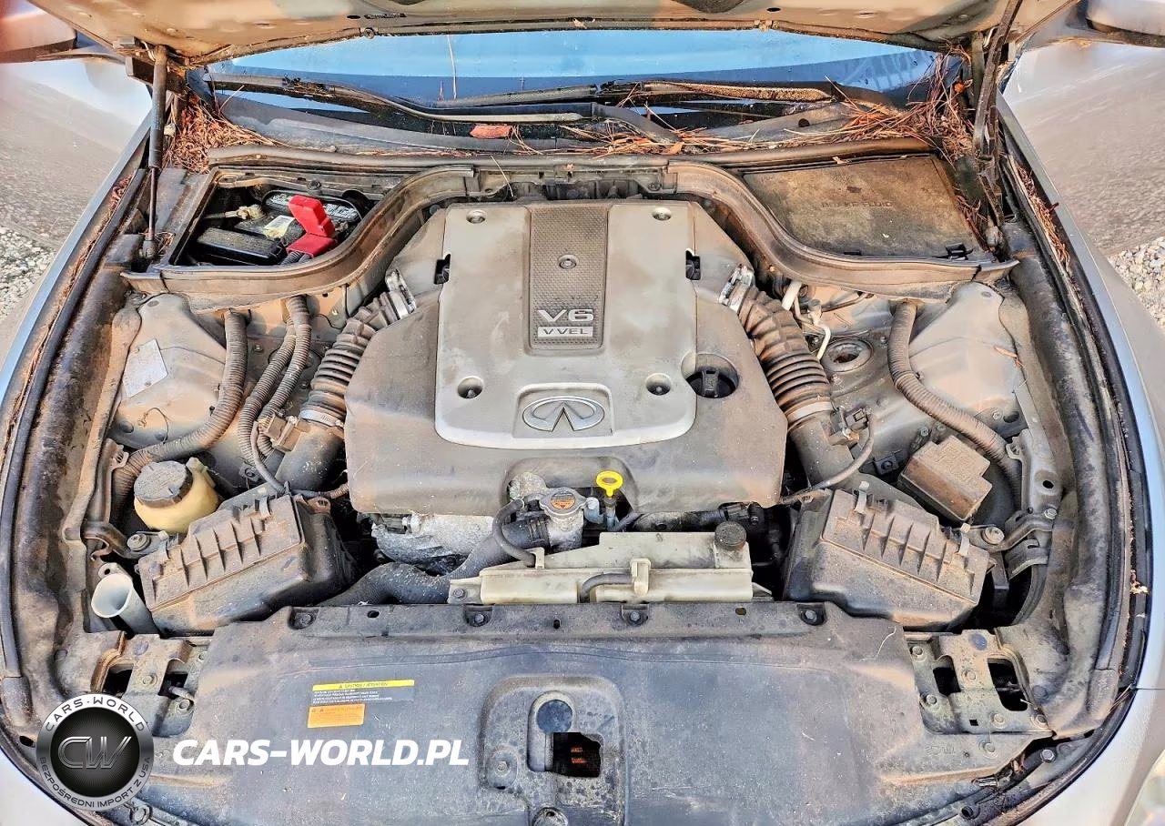 2009 Infiniti G37 Coupe X VIN:JNKCV64F79M650514 - 11