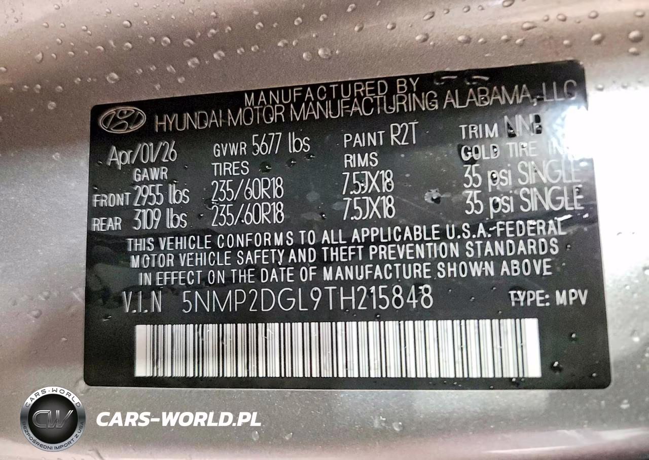 2026 Hyundai Santa Fe Sel VIN:5NMP2DGL9TH215848 - 13