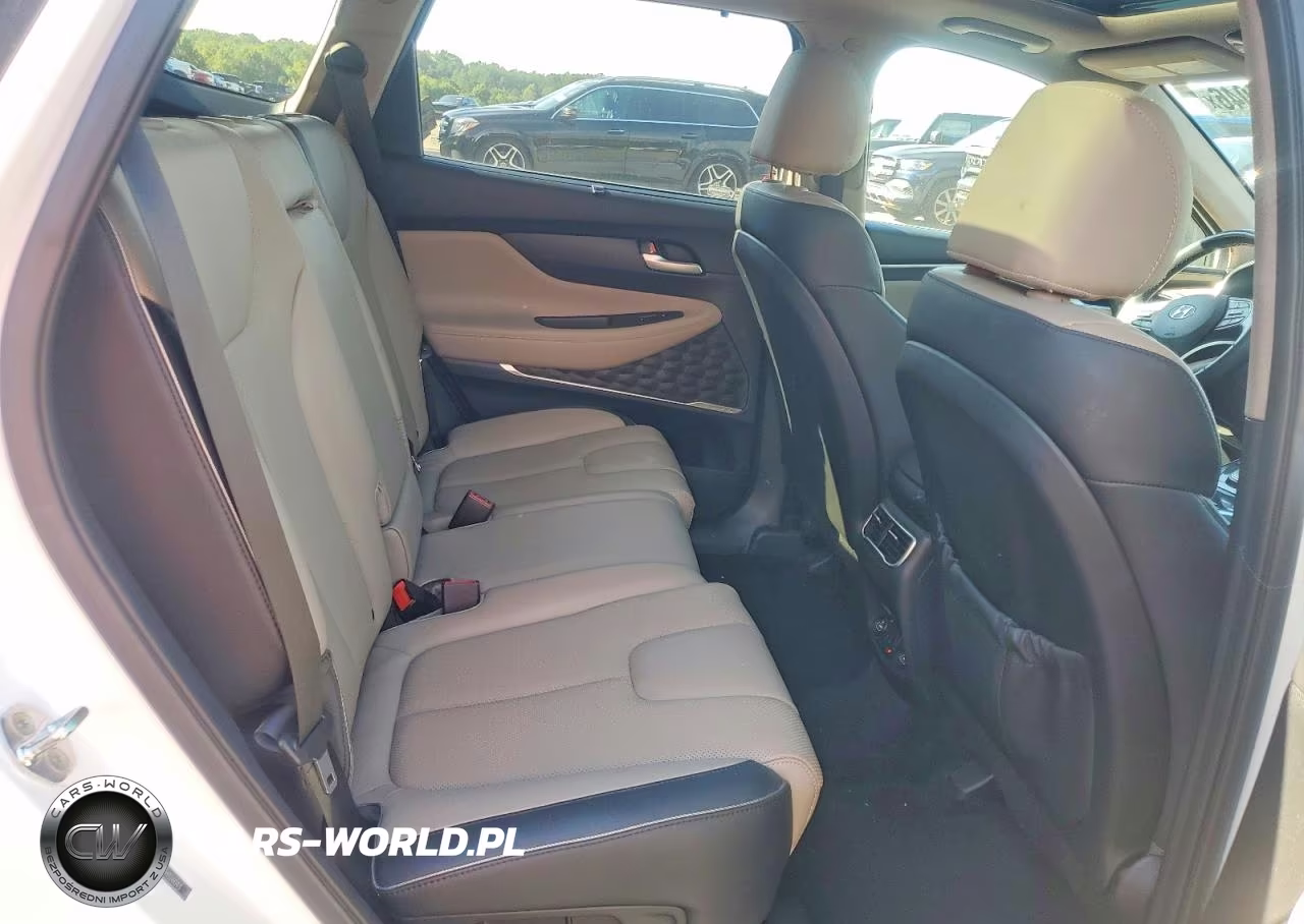 2021 Hyundai Santa Fe Limited VIN:5NMS44AL9MH326043 - 10