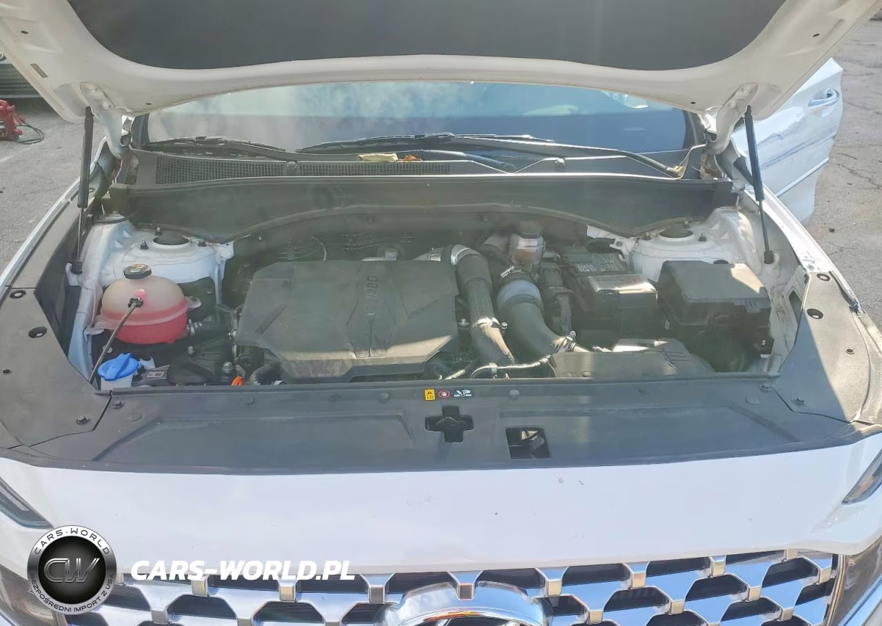 2021 Hyundai Santa Fe Limited VIN:5NMS44AL9MH326043 - 11