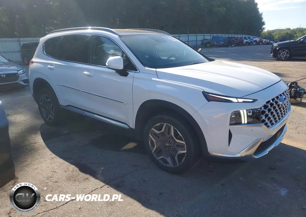 2021 Hyundai Santa Fe Limited VIN:5NMS44AL9MH326043 - 4