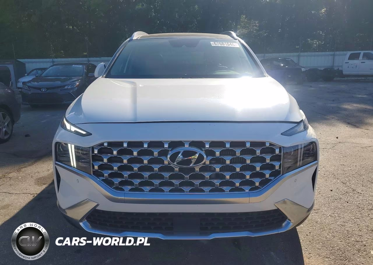 2021 Hyundai Santa Fe Limited VIN:5NMS44AL9MH326043 - 5
