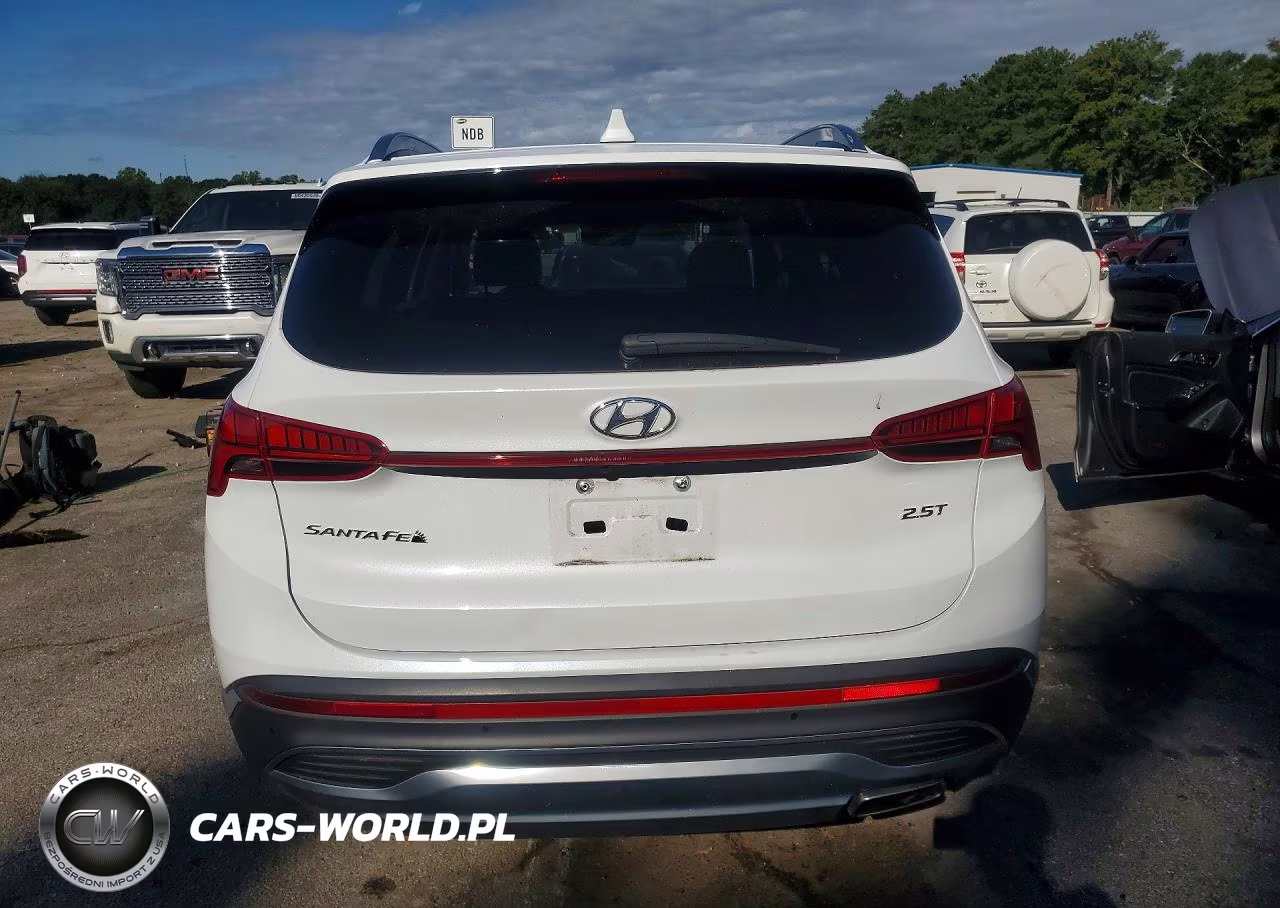 2021 Hyundai Santa Fe Limited VIN:5NMS44AL9MH326043 - 6