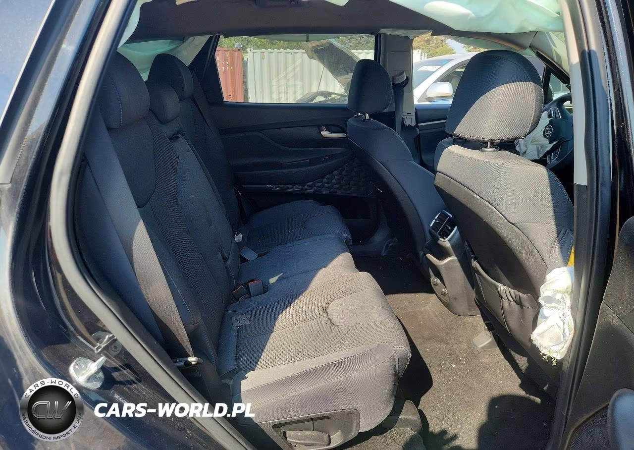 2019 Hyundai Santa Fe Sel 2.4L VIN:5NMS3CAD4KH001786 - 10