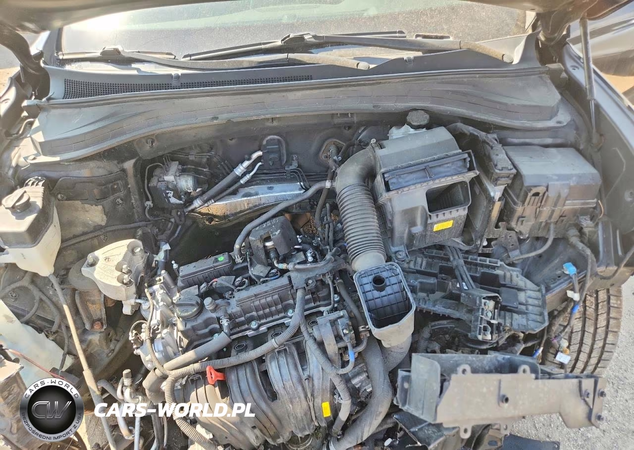 2019 Hyundai Santa Fe Sel 2.4L VIN:5NMS3CAD4KH001786 - 11