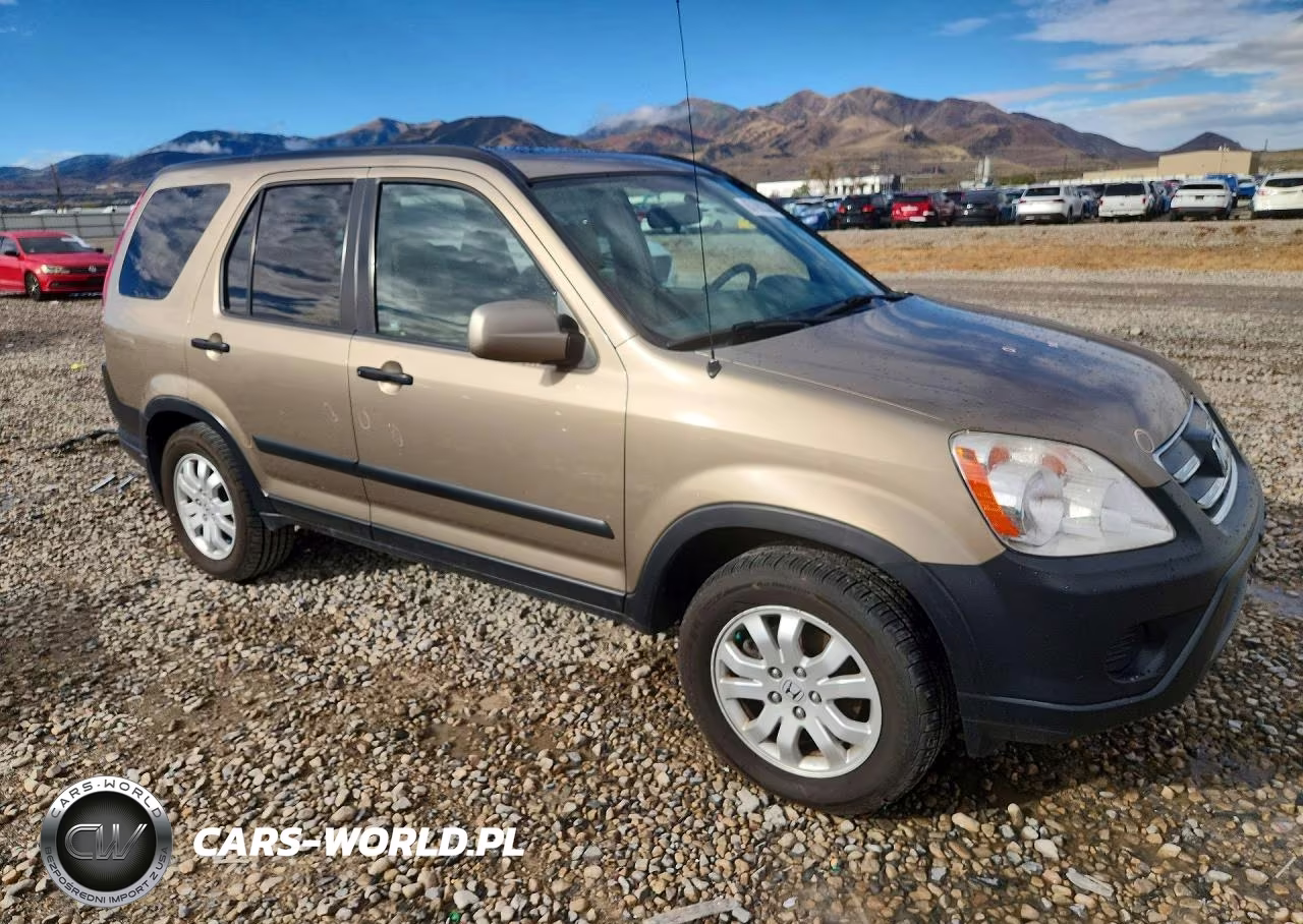2005 Honda Cr-V Ex VIN:JHLRD78895C020643 - 4