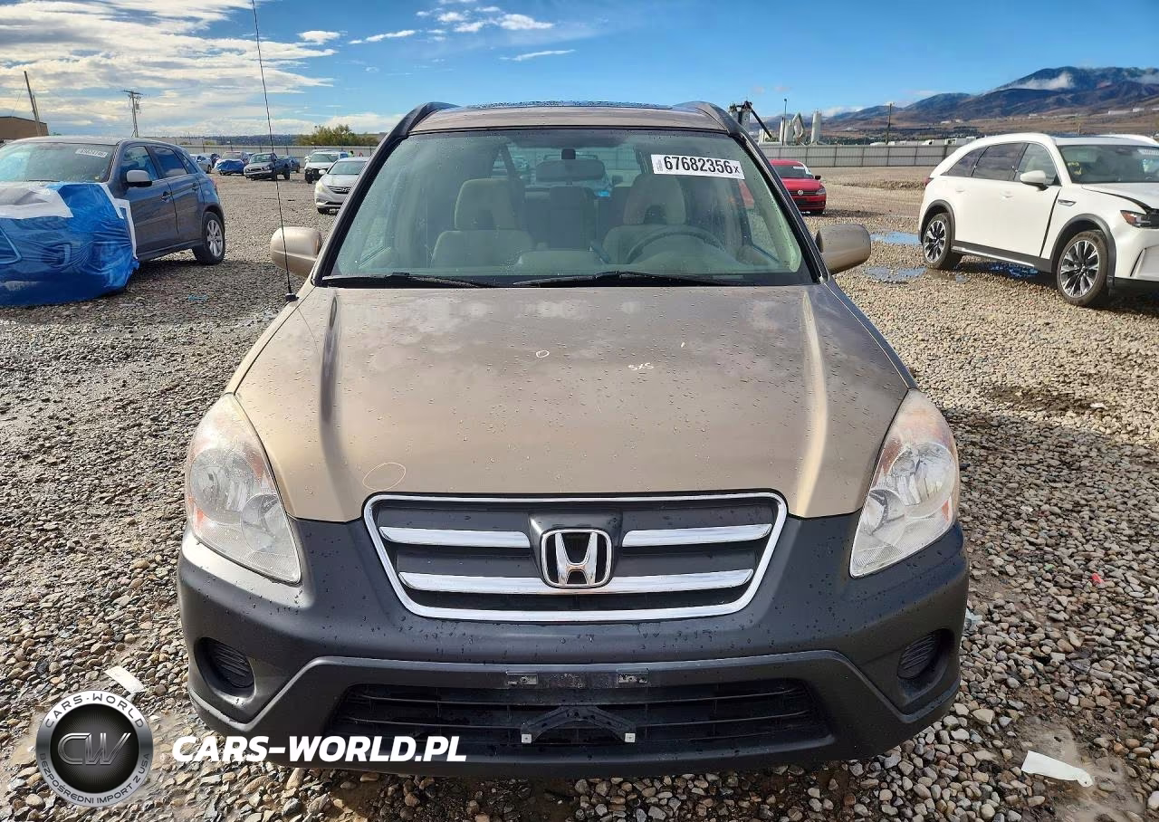2005 Honda Cr-V Ex VIN:JHLRD78895C020643 - 5