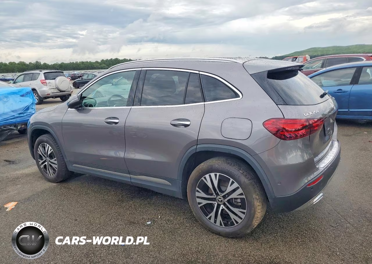 2025 Mercedes-Benz Gla 250 4Matic VIN:W1N4N4HB9SJ691731 - 2