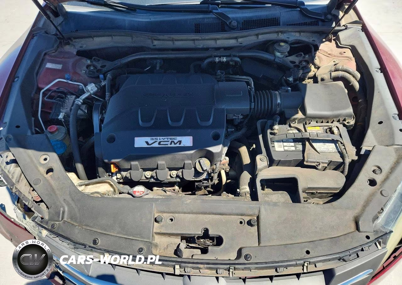 2010 Honda Accord Crosstour Exl VIN:5J6TF1H55AL011460 - 11