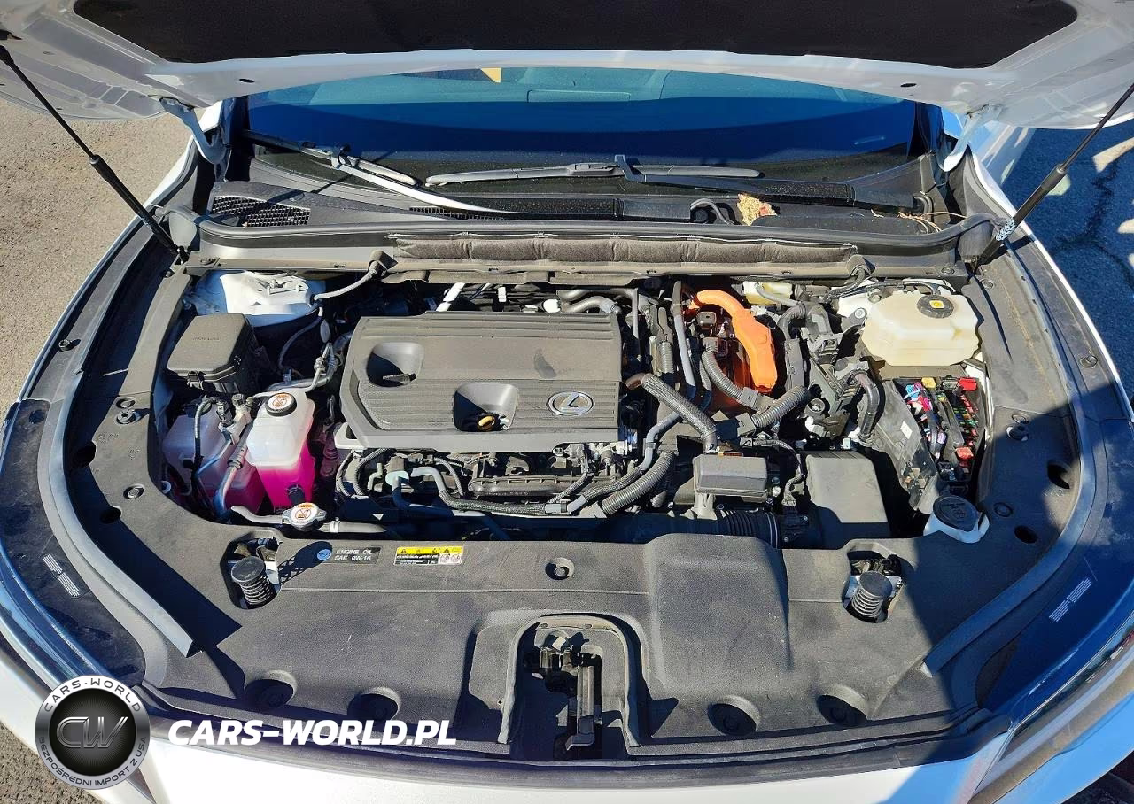 2025 Lexus Rx 350H Premium VIN:2T2BBMCA1SC098734 - 12