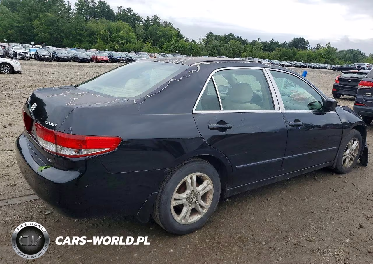 2004 Honda Accord Lx VIN:1HGCM56374A010221 - 3