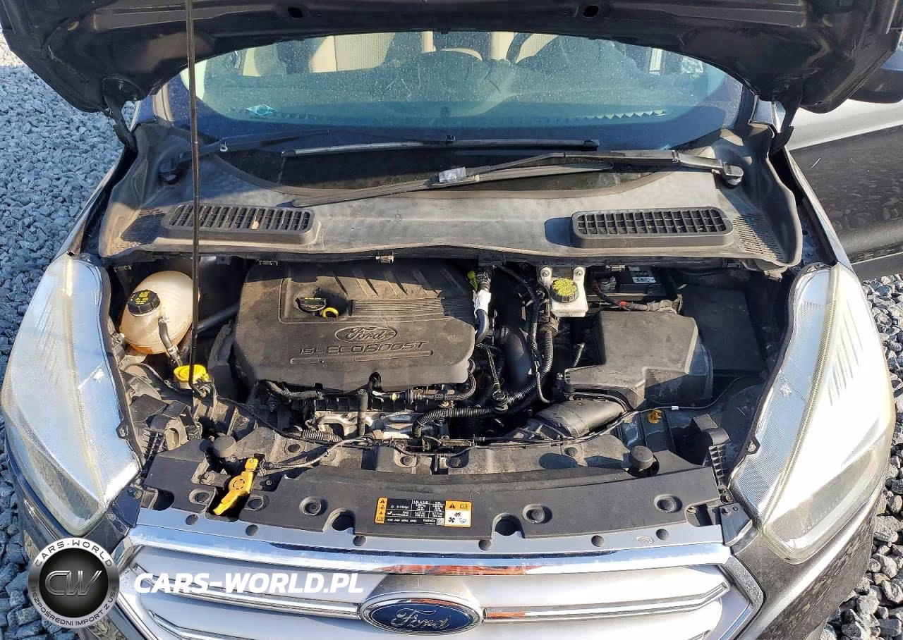 2017 Ford Escape Se VIN:1FMCU0GD5HUA53660 - 12