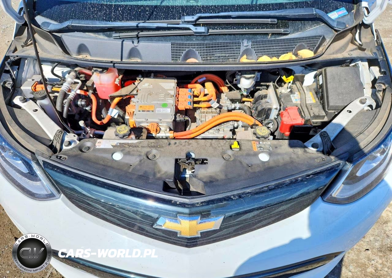 2019 Chevrolet Bolt Ev Lt VIN:1G1FY6S0XK4118175 - 11