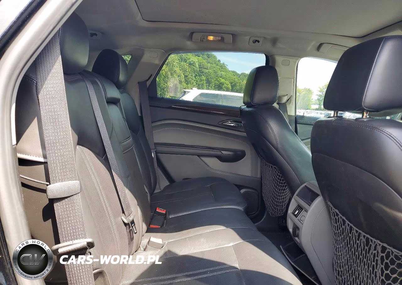 2010 Cadillac Srx Luxury Collection VIN:3GYFNDEY5AS611972 - 11