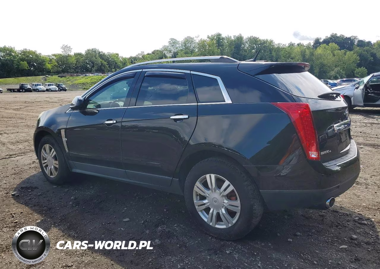 2010 Cadillac Srx Luxury Collection VIN:3GYFNDEY5AS611972 - 2