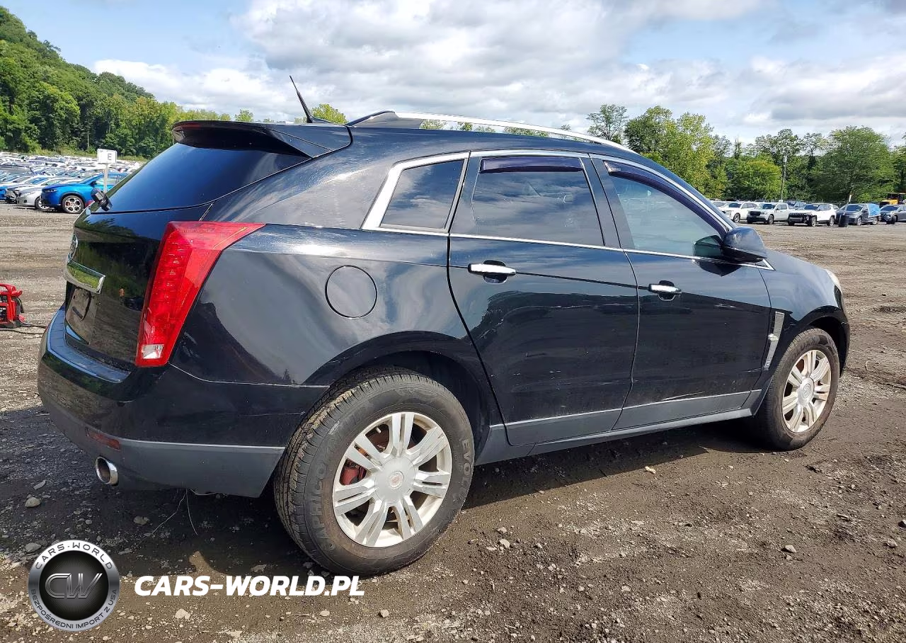 2010 Cadillac Srx Luxury Collection VIN:3GYFNDEY5AS611972 - 3
