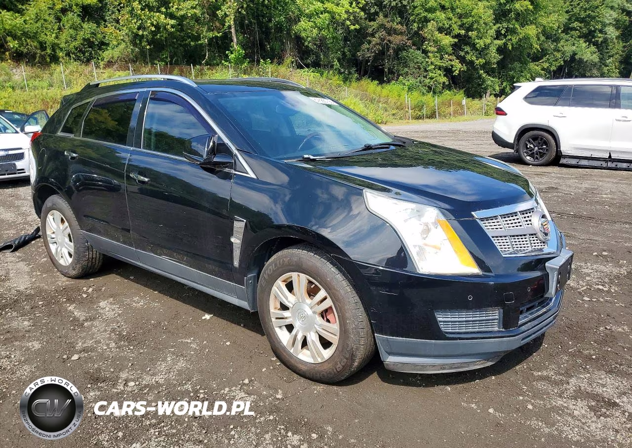 2010 Cadillac Srx Luxury Collection VIN:3GYFNDEY5AS611972 - 4