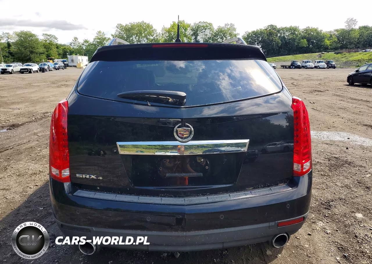 2010 Cadillac Srx Luxury Collection VIN:3GYFNDEY5AS611972 - 6