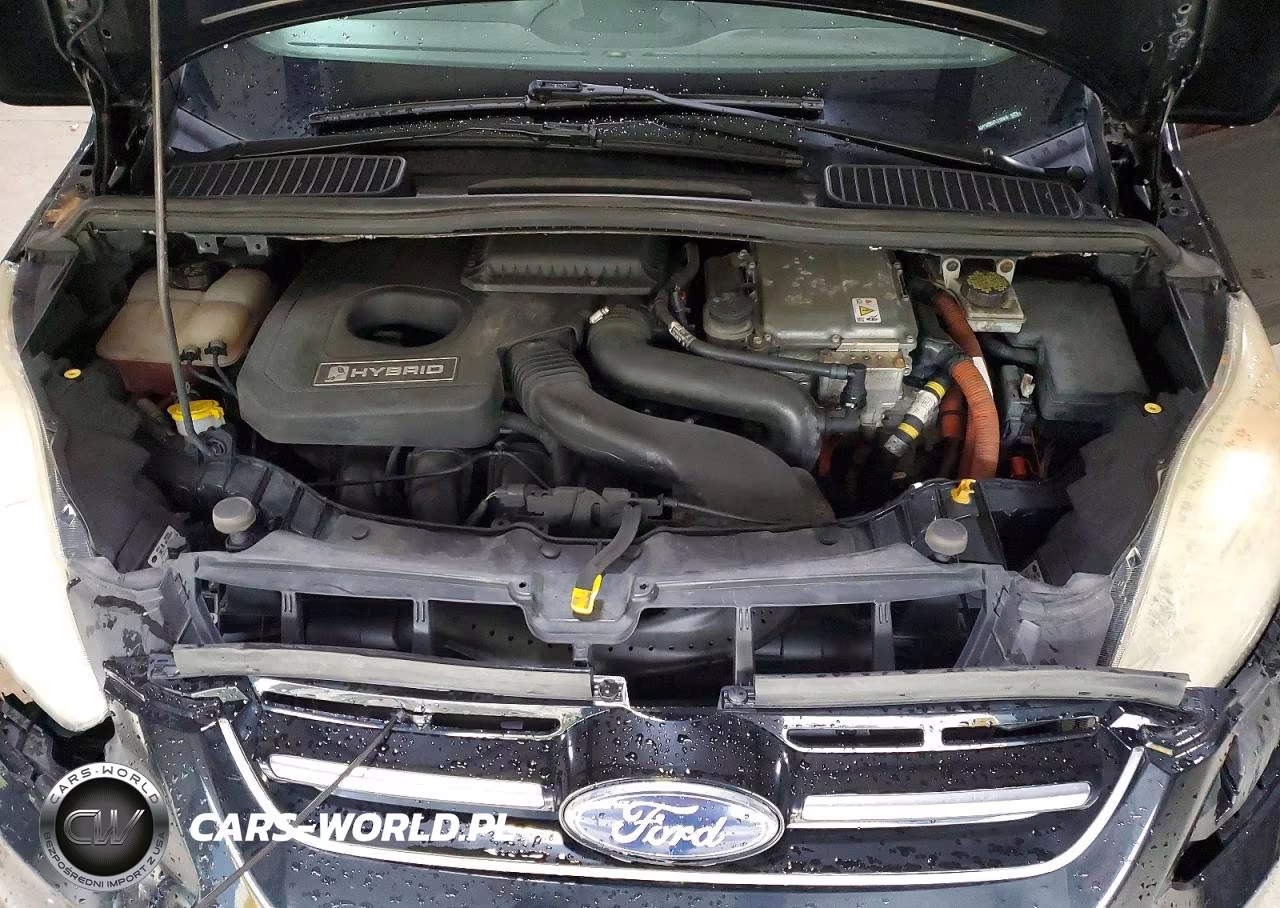2015 Ford C-Max Sel VIN:1FADP5BU5FL116558 - 12